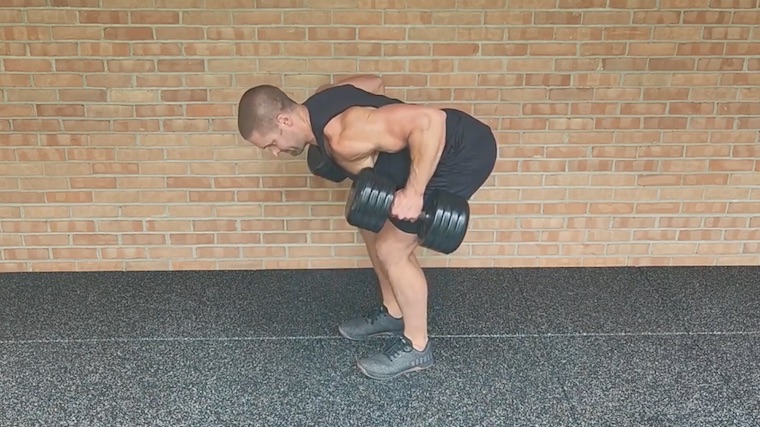 muscular person rowing two dumbbells