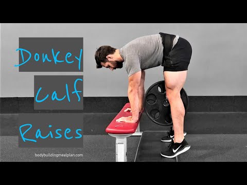 Donkey Calf Raises With Dip Belt