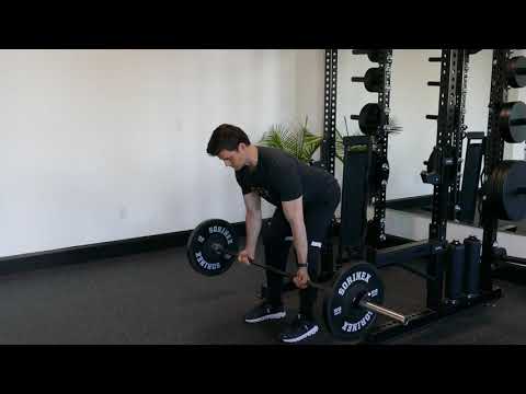 Barbell Reverse Grip Rows